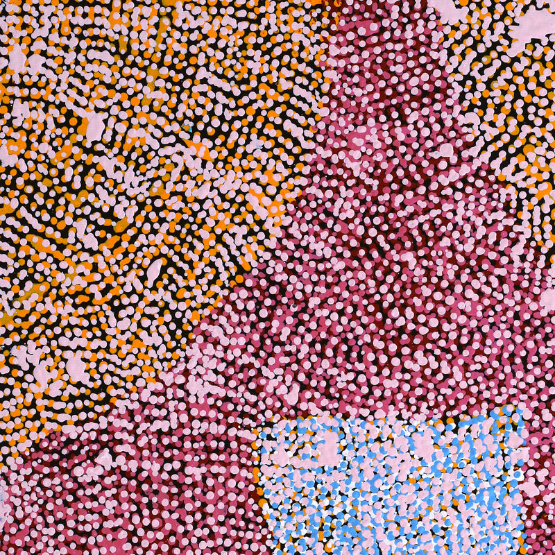 Aboriginal Artwork by Peggy Nampijinpa Brown, Warlukurlangu Jukurrpa (Fire country Dreaming), 50x40cm