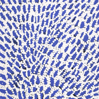 Aboriginal Artwork by Peggy Nampijinpa Brown, Warlukurlangu Jukurrpa (Fire country Dreaming), 61x30cm