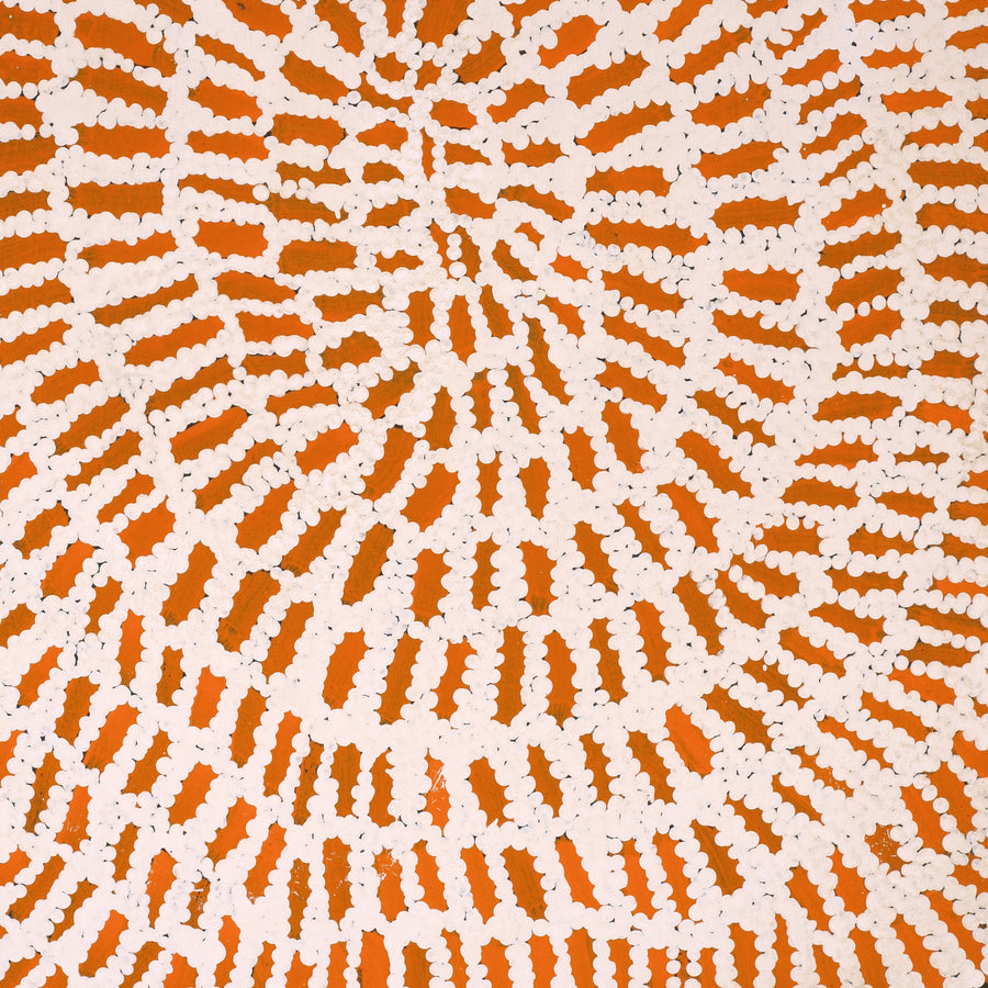 Aboriginal Artwork by Peggy Nampijinpa Brown, Warlukurlangu Jukurrpa (Fire country Dreaming), 61x46cm