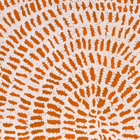 Aboriginal Artwork by Peggy Nampijinpa Brown, Warlukurlangu Jukurrpa (Fire country Dreaming), 61x46cm