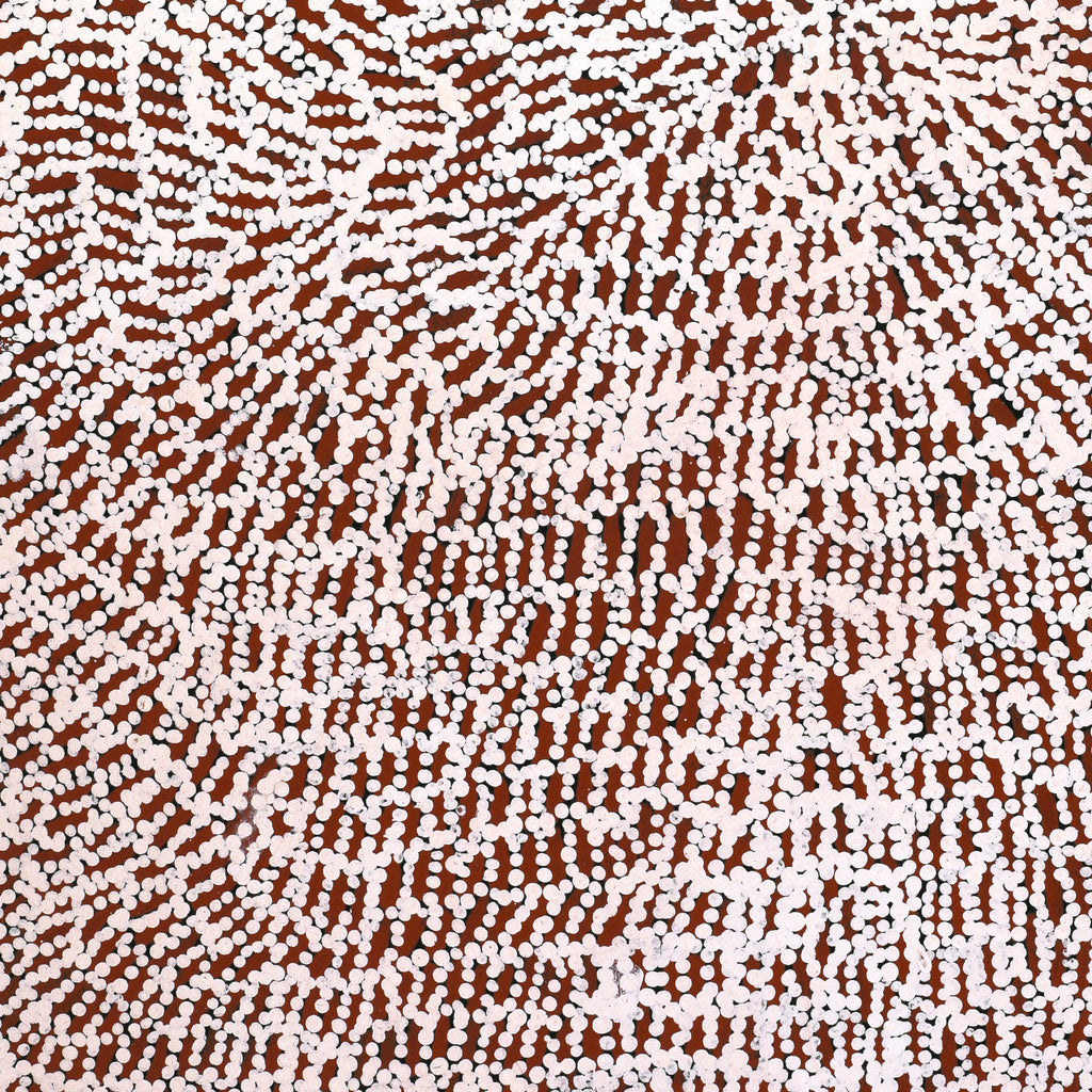Aboriginal Artwork by Peggy Nampijinpa Brown, Warlukurlangu Jukurrpa (Fire country Dreaming), 61x46cm