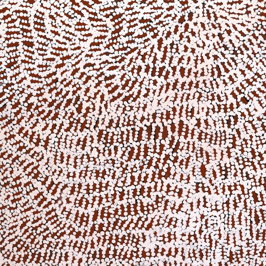 Aboriginal Artwork by Peggy Nampijinpa Brown, Warlukurlangu Jukurrpa (Fire country Dreaming), 61x46cm