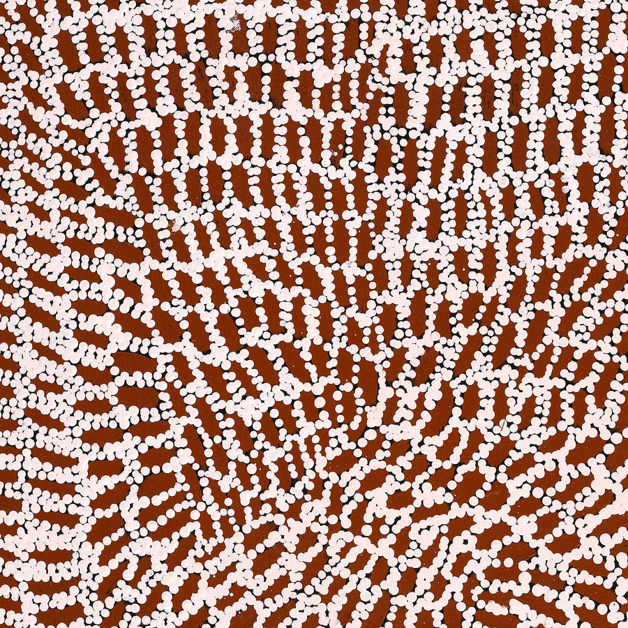 Aboriginal Artwork by Peggy Nampijinpa Brown, Warlukurlangu Jukurrpa (Fire country Dreaming), 61x46cm