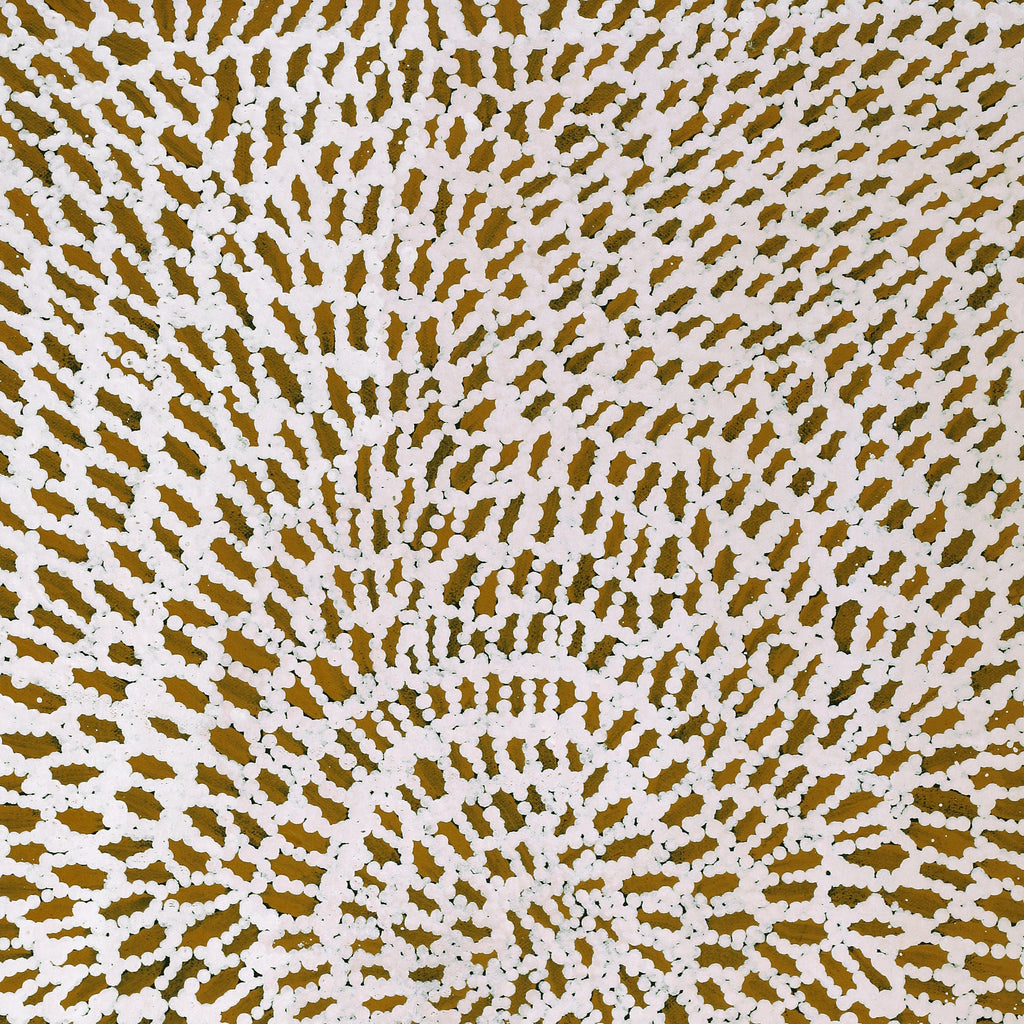 Aboriginal Artwork by Peggy Nampijinpa Brown, Warlukurlangu Jukurrpa (Fire country Dreaming), 61x46cm