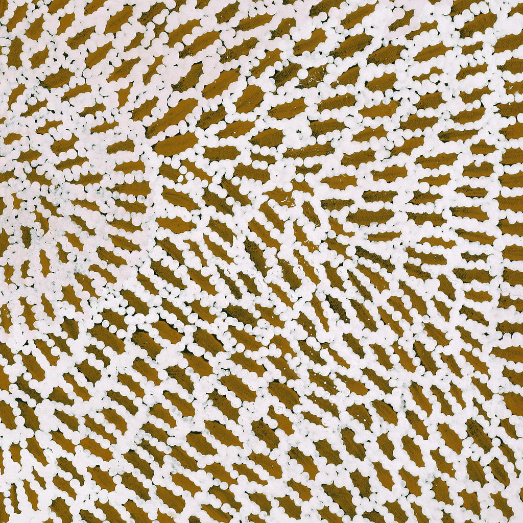 Aboriginal Artwork by Peggy Nampijinpa Brown, Warlukurlangu Jukurrpa (Fire country Dreaming), 61x46cm