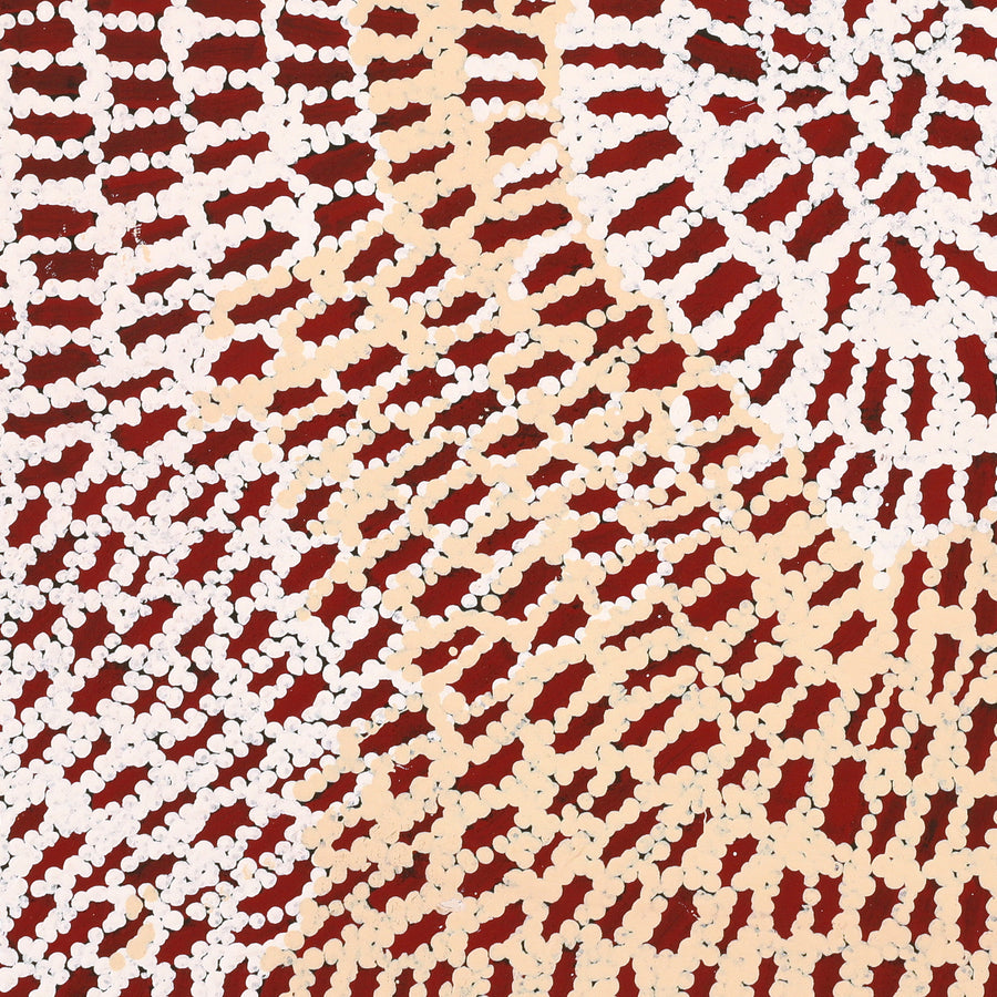 Aboriginal Artwork by Peggy Nampijinpa Brown, Warlukurlangu Jukurrpa (Fire country Dreaming), 61x61cm