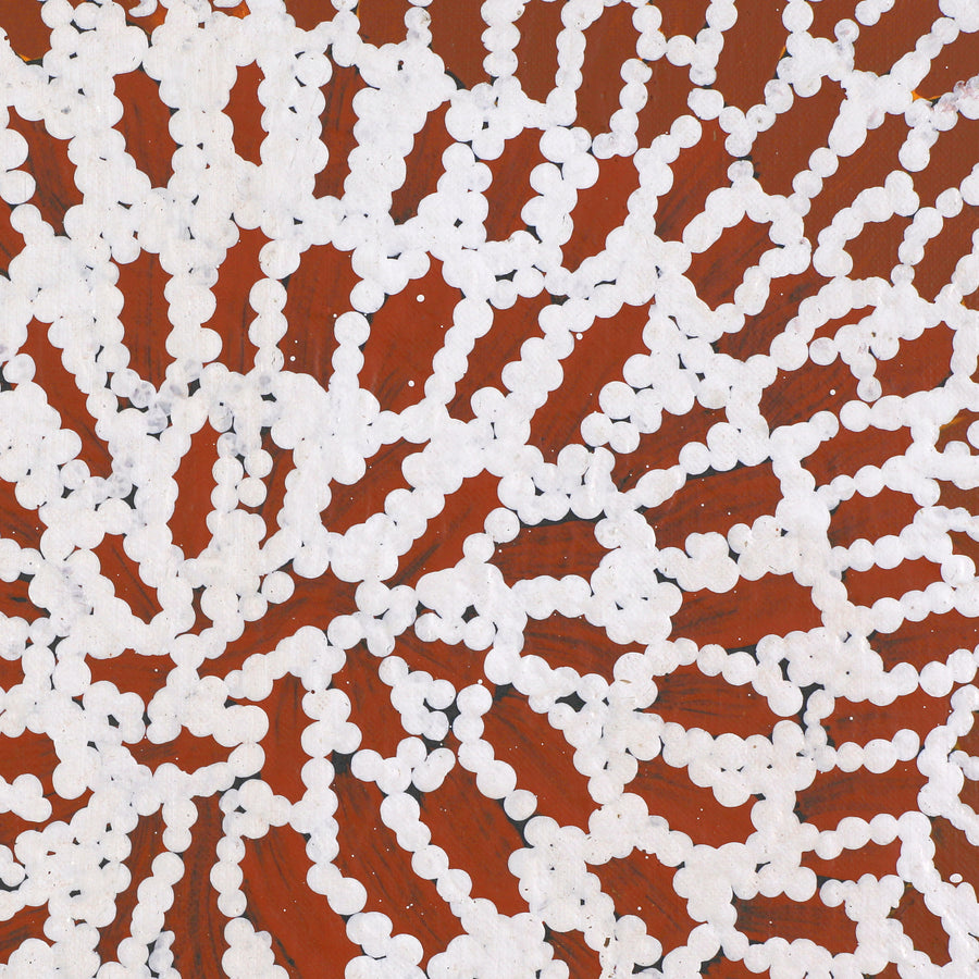 Aboriginal Artwork by Peggy Nampijinpa Brown, Warlukurlangu Jukurrpa (Fire country Dreaming), 61x61cm