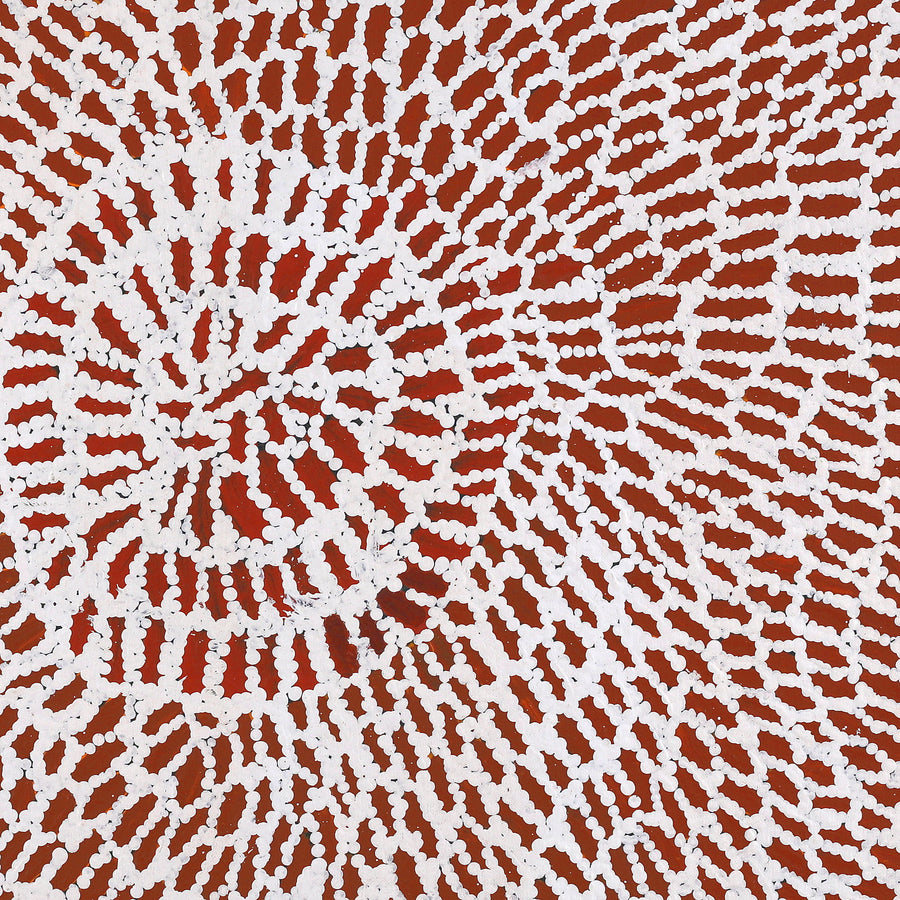 Aboriginal Artwork by Peggy Nampijinpa Brown, Warlukurlangu Jukurrpa (Fire country Dreaming), 61x61cm
