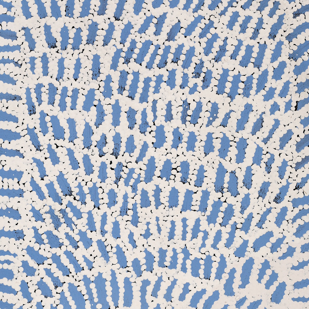 Aboriginal Artwork by Peggy Nampijinpa Brown, Warlukurlangu Jukurrpa (Fire country Dreaming), 76x30cm