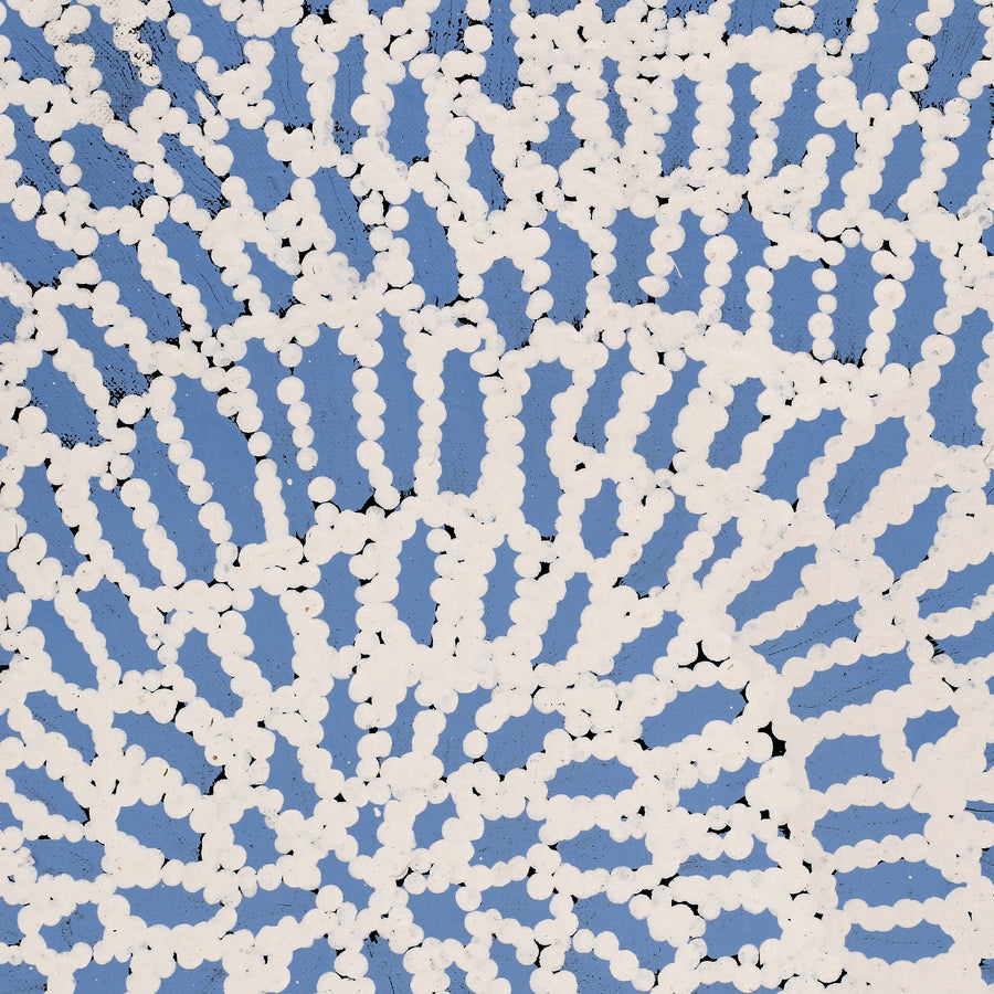 Aboriginal Artwork by Peggy Nampijinpa Brown, Warlukurlangu Jukurrpa (Fire country Dreaming), 76x30cm