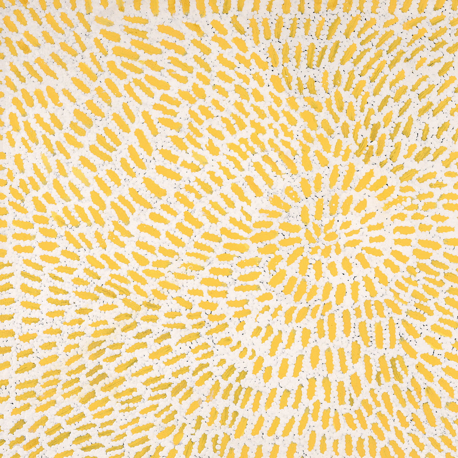 Aboriginal Artwork by Peggy Nampijinpa Brown, Warlukurlangu Jukurrpa (Fire country Dreaming), 76x61cm