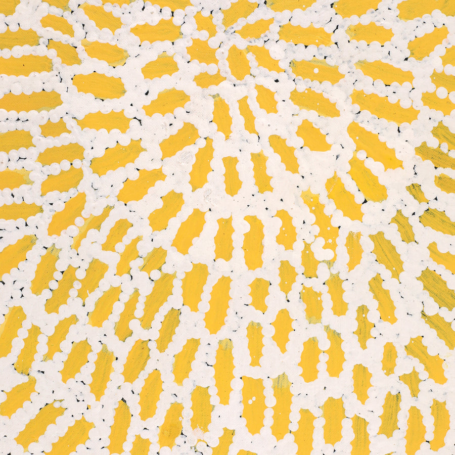 Aboriginal Artwork by Peggy Nampijinpa Brown, Warlukurlangu Jukurrpa (Fire country Dreaming), 76x61cm