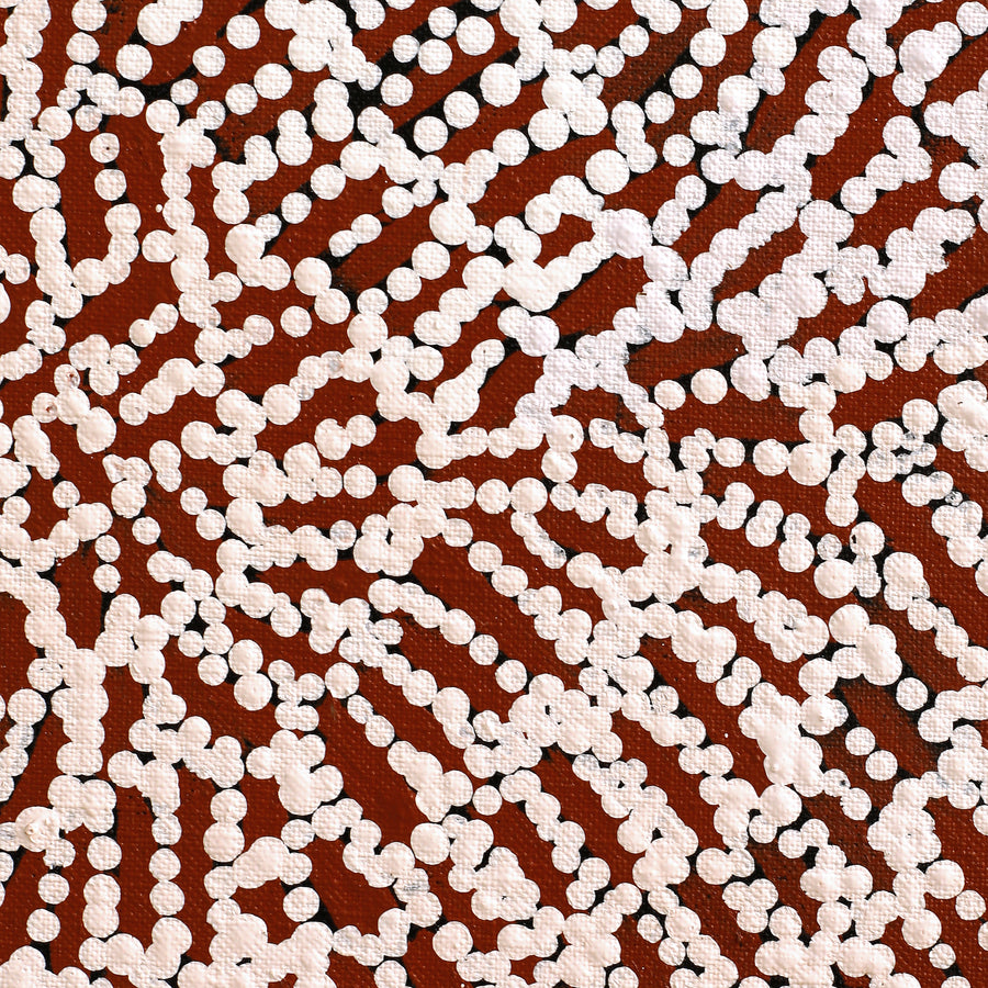 Aboriginal Artwork by Peggy Nampijinpa Brown, Warlukurlangu Jukurrpa (Fire country Dreaming), 76x76cm