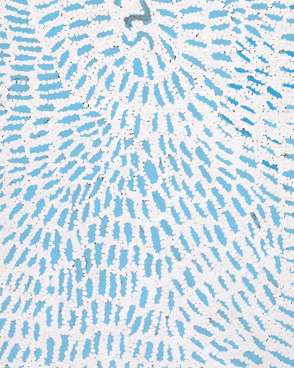 Aboriginal Artwork by Peggy Nampijinpa Brown, Warlukurlangu Jukurrpa (Fire country Dreaming), 91x46cm