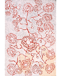 Aboriginal Artwork by Peggy Nampijinpa Brown, Warlukurlangu Jukurrpa (Fire country Dreaming), 91x61cm