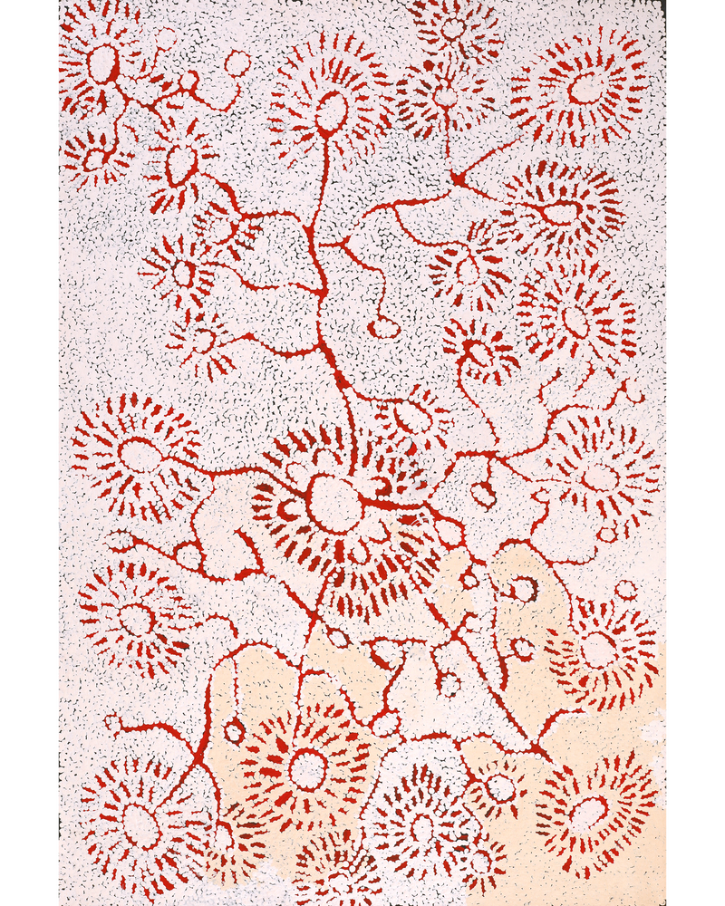 Aboriginal Artwork by Peggy Nampijinpa Brown, Warlukurlangu Jukurrpa (Fire country Dreaming), 91x61cm