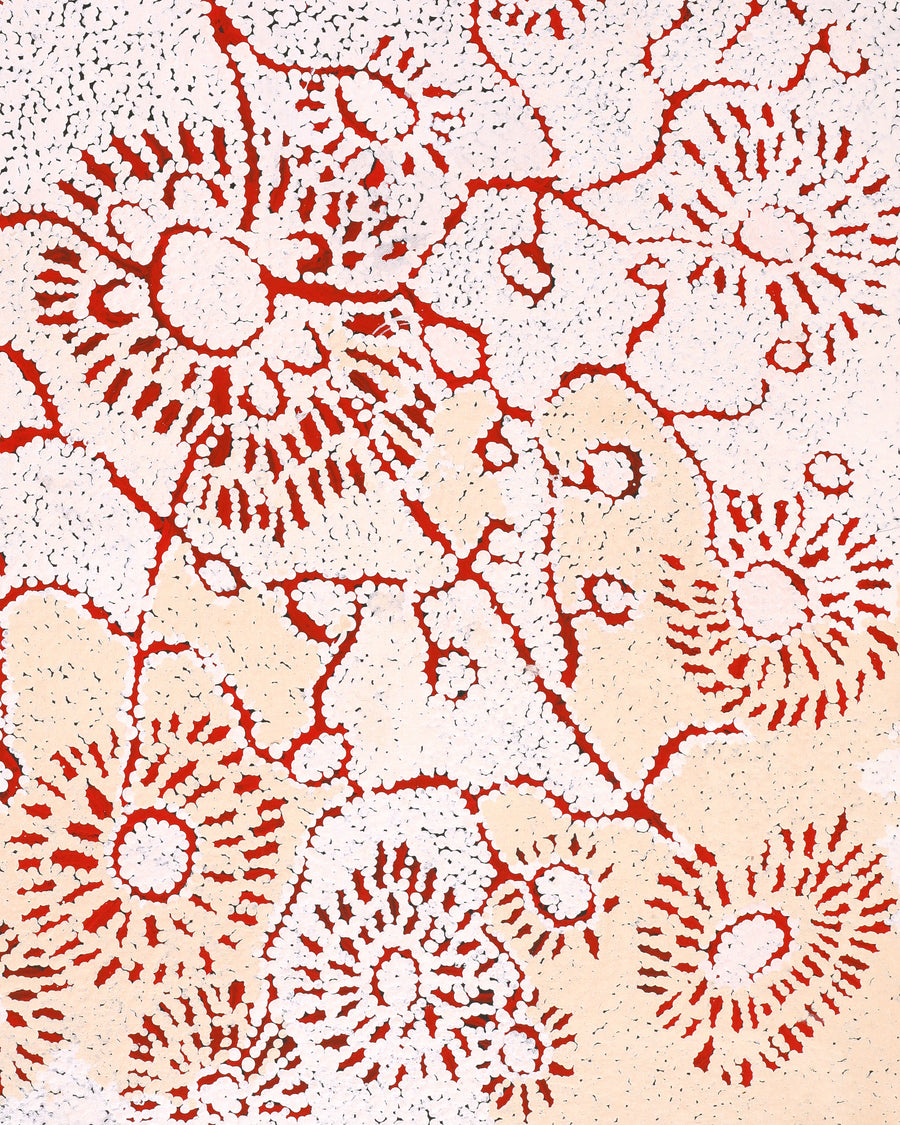 Aboriginal Artwork by Peggy Nampijinpa Brown, Warlukurlangu Jukurrpa (Fire country Dreaming), 91x61cm
