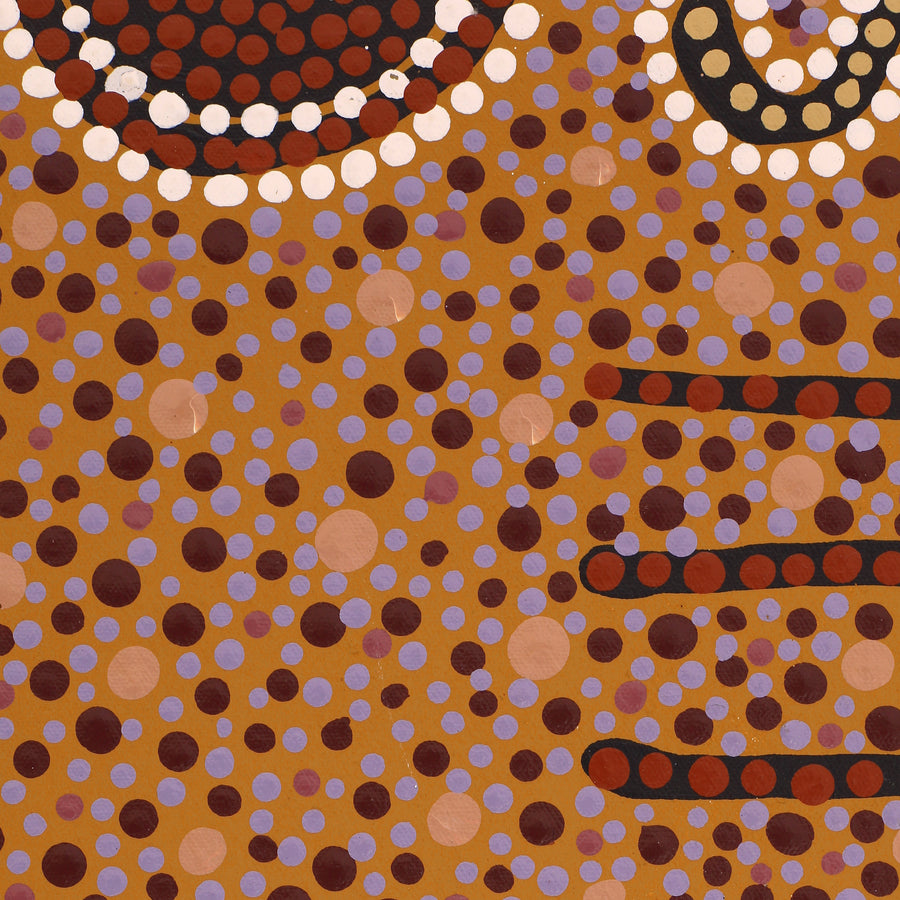 Aboriginal Artwork by Phyllis Donegan, Tali Tjuta, 91x61cm