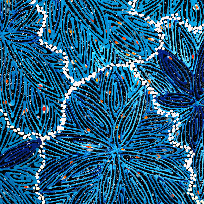 Aboriginal Artwork by Reanne Nampijinpa Brown, Ngapa Jukurrpa (Water Dreaming) - Mikanji, 40x40cm