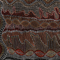 Aboriginal Artwork by Reanne Nampijinpa Brown, Ngapa Jukurrpa (Water Dreaming) - Mikanji, 107x91cm