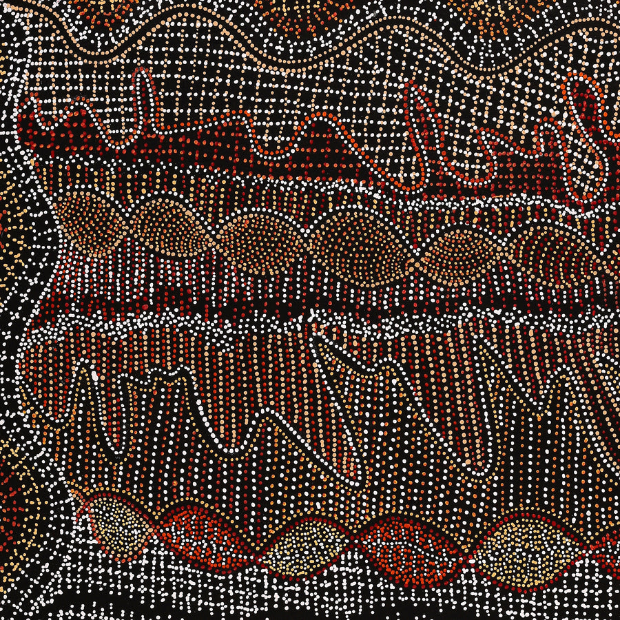 Aboriginal Artwork by Reanne Nampijinpa Brown, Ngapa Jukurrpa (Water Dreaming) - Mikanji, 107x91cm