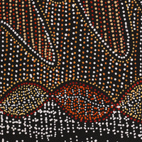 Aboriginal Artwork by Reanne Nampijinpa Brown, Ngapa Jukurrpa (Water Dreaming) - Mikanji, 107x91cm