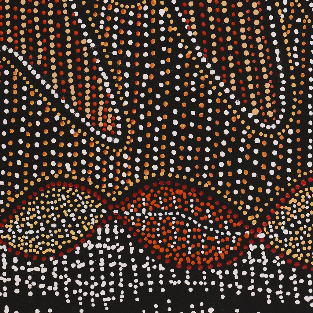 Aboriginal Artwork by Reanne Nampijinpa Brown, Ngapa Jukurrpa (Water Dreaming) - Mikanji, 107x91cm - ART ARK®