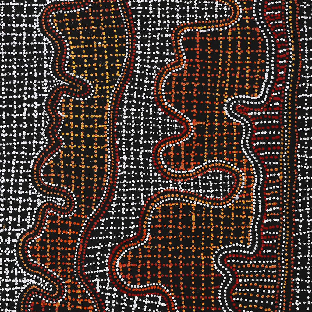 Aboriginal Artwork by Reanne Nampijinpa Brown, Pamapardu Jukurrpa (Flying Ant Dreaming) - Warntungurru, 122x46cm