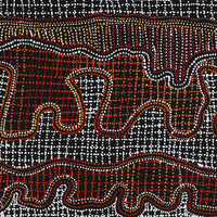 Aboriginal Artwork by Reanne Nampijinpa Brown, Pamapardu Jukurrpa (Flying Ant Dreaming) - Warntungurru, 122x46cm