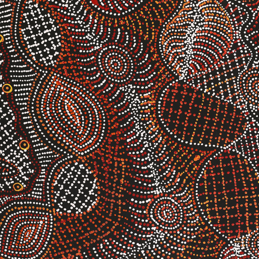 Aboriginal Artwork by Reanne Nampijinpa Brown, Ngapa Jukurrpa (Water Dreaming) - Mikanji, 152x91cm
