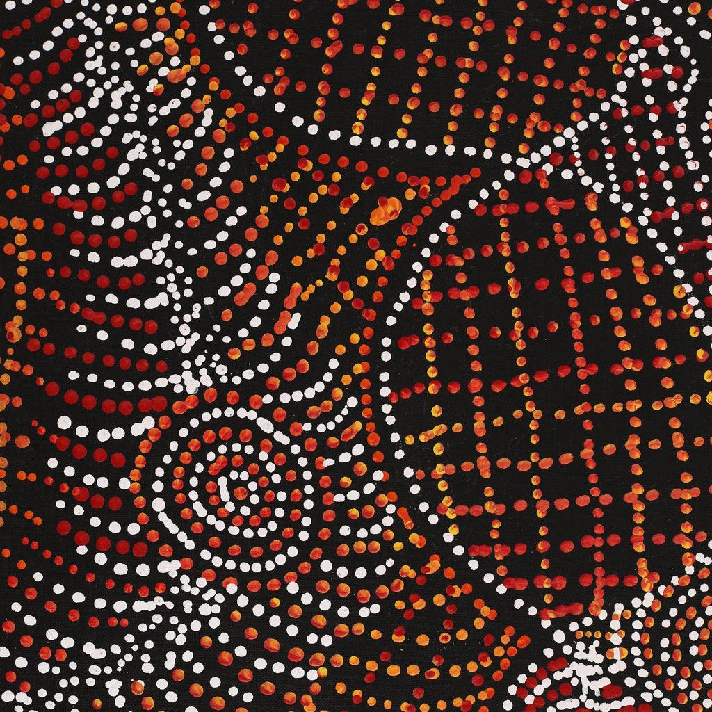 Aboriginal Art by Reanne Nampijinpa Brown, Ngapa Jukurrpa (Water Dreaming) - Mikanji, 152x91cm - ART ARK®