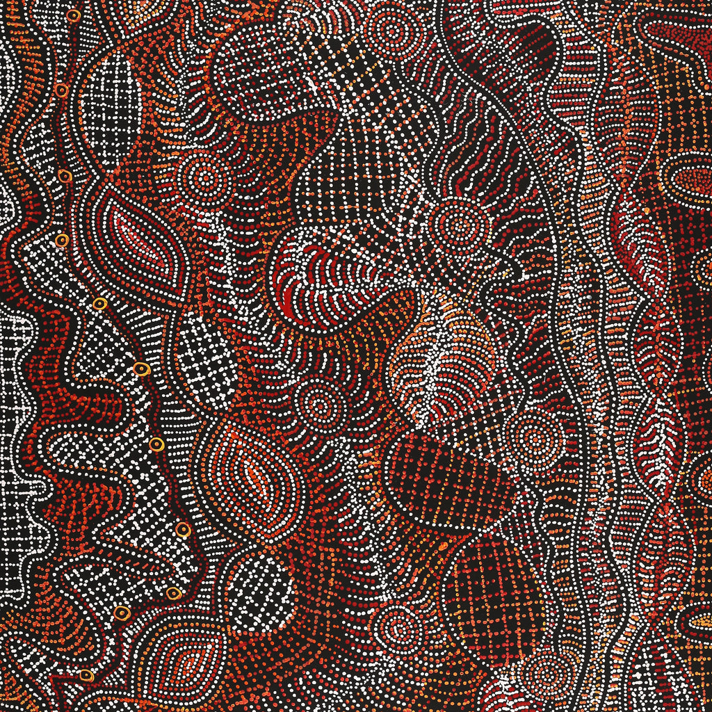 Aboriginal Artwork by Reanne Nampijinpa Brown, Ngapa Jukurrpa (Water Dreaming) - Mikanji, 152x91cm