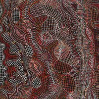 Aboriginal Artwork by Reanne Nampijinpa Brown, Ngapa Jukurrpa (Water Dreaming) - Mikanji, 152x91cm