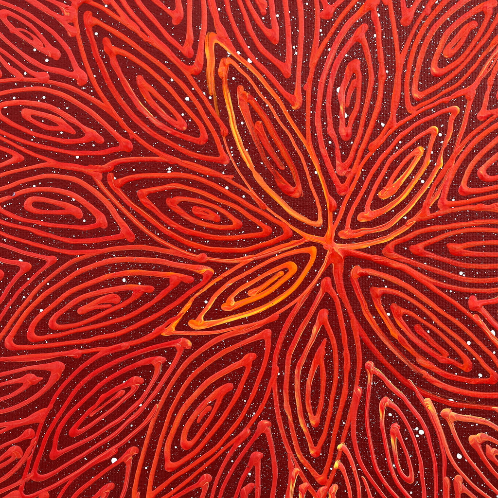 Aboriginal Artwork by Reanne Nampijinpa Brown, Pamapardu Jukurrpa (Flying Ant Dreaming) - Warntungurru, 30x30cm - ART ARK®