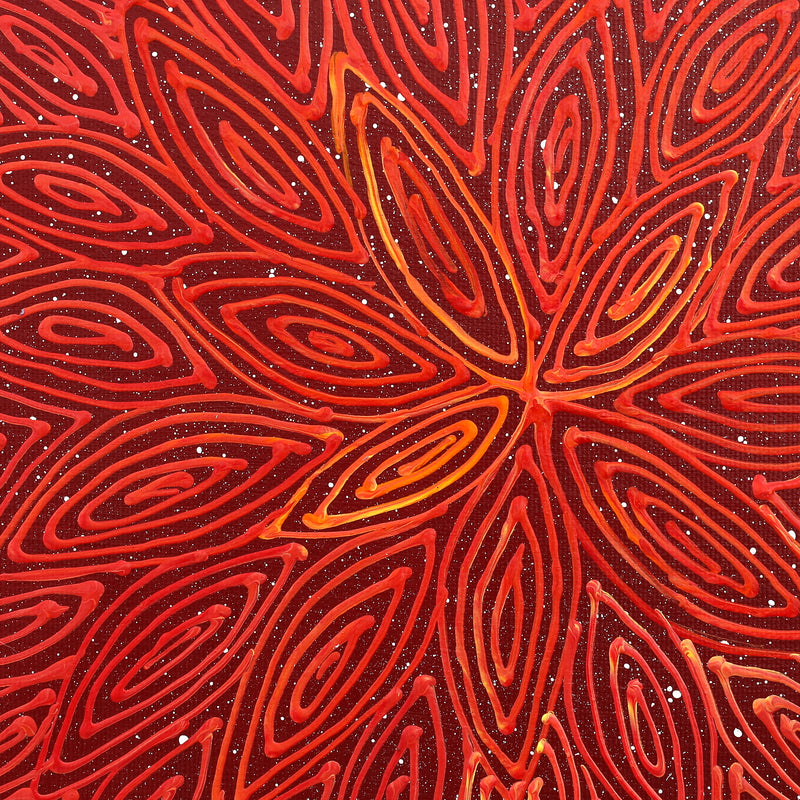 Aboriginal Artwork by Reanne Nampijinpa Brown, Pamapardu Jukurrpa (Flying Ant Dreaming) - Warntungurru, 30x30cm