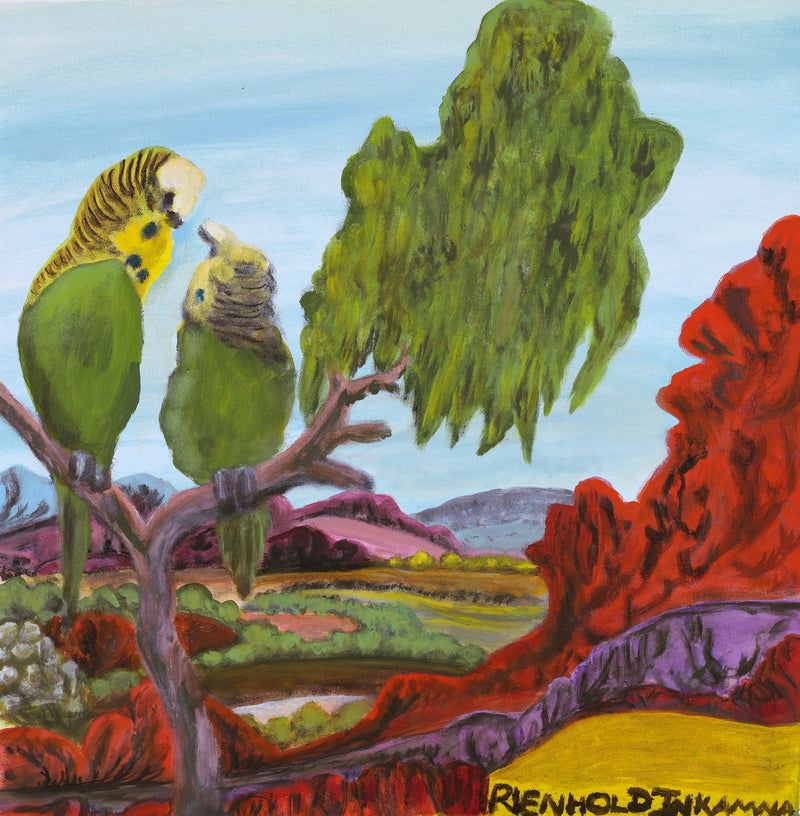 Aboriginal Artwork by Reinhold Inkamala, Budgies, 50x49cm