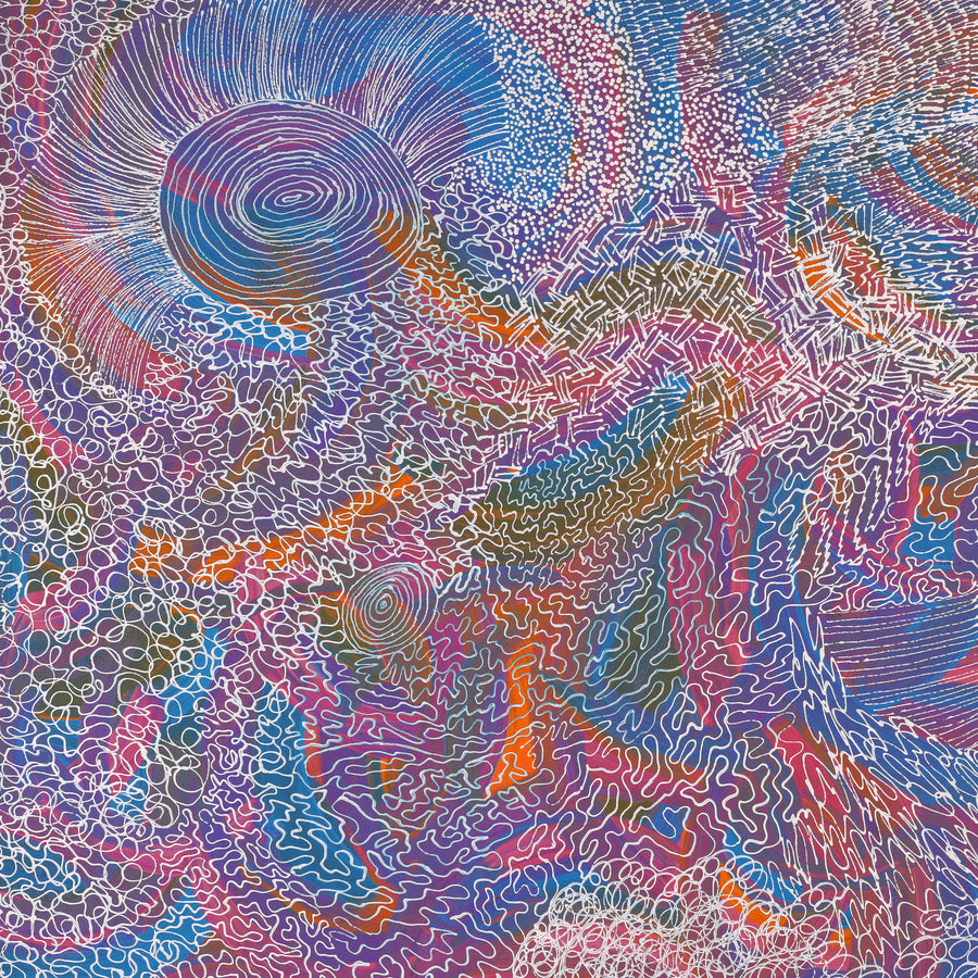 Aboriginal Artwork by Renae Nelson, Mamungari, 122x76cm