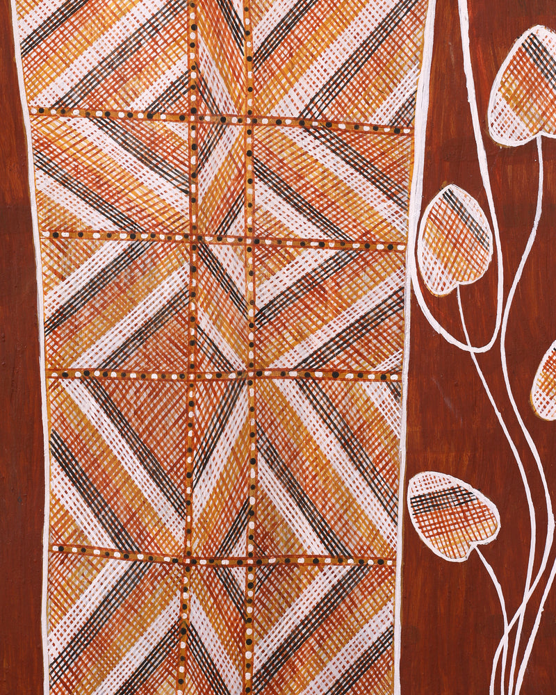 Aboriginal Artwork by Raphael Wurrkidj, Kun-madj - Large Dillybag Vine, 76x41cm Bark Painting