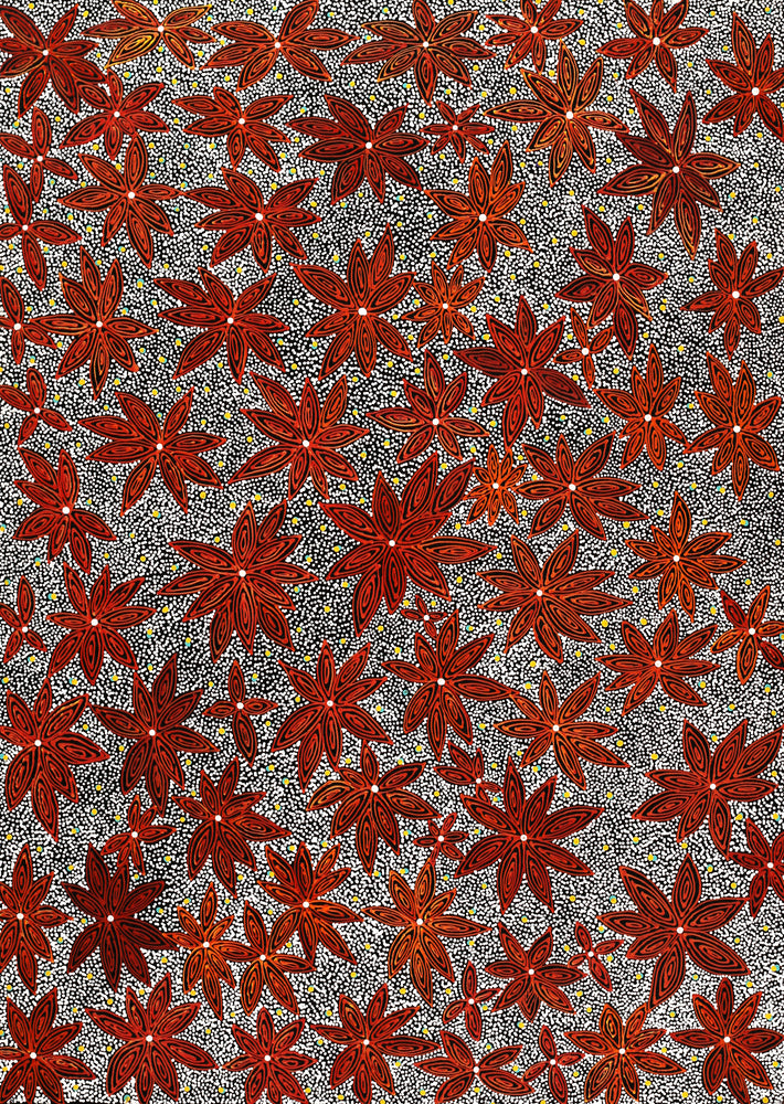 Aboriginal Artwork by Reanne Nampijinpa Brown, Pamapardu Jukurrpa (Flying Ant Dreaming) - Warntungurru, 107x76cm