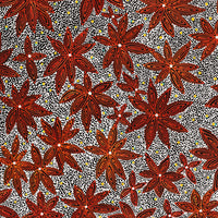 Aboriginal Art by Reanne Nampijinpa Brown, Pamapardu Jukurrpa (Flying Ant Dreaming) - Warntungurru, 107x76cm - ART ARK®