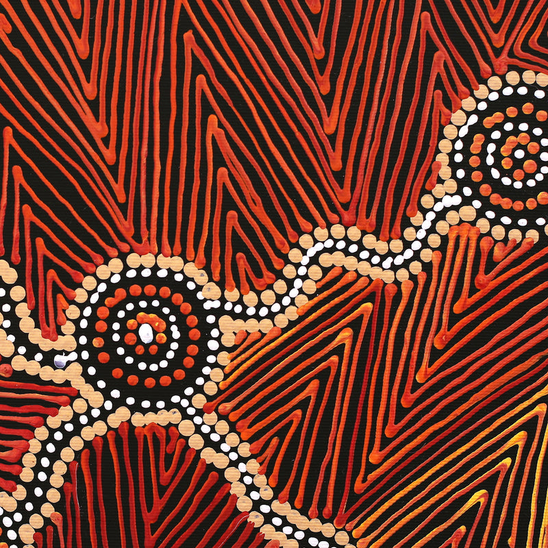 Aboriginal Artwork by Reanne Nampijinpa Brown, Ngapa Jukurrpa (Water Dreaming) - Mikanji, 30x30cm