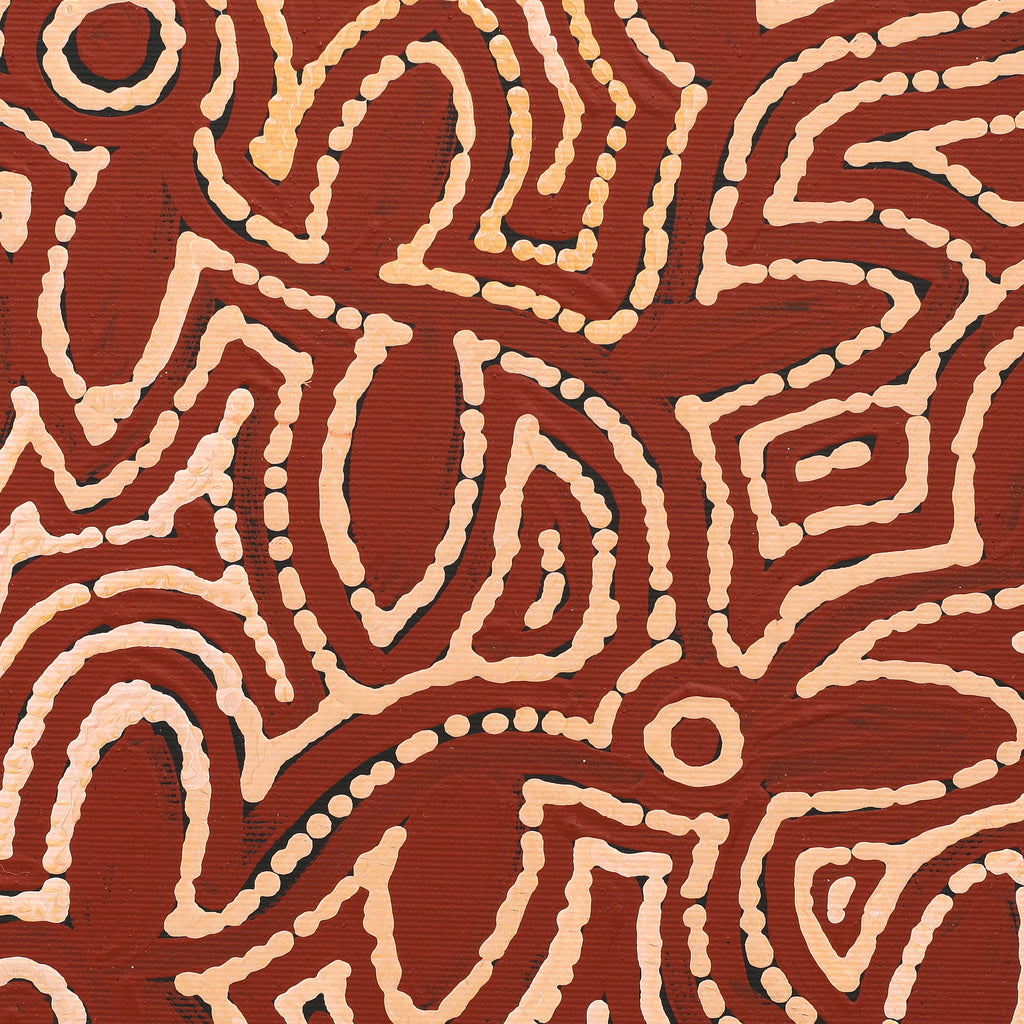 Aboriginal Artwork by Reanne Nampijinpa Brown, Pamapardu Jukurrpa (Flying Ant Dreaming) - Warntungurru, 30x30cm