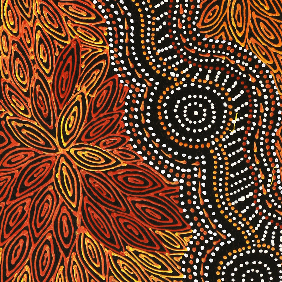 Aboriginal Artwork by Reanne Nampijinpa Brown, Ngapa Jukurrpa (Water Dreaming) - Mikanji, 107x30cm