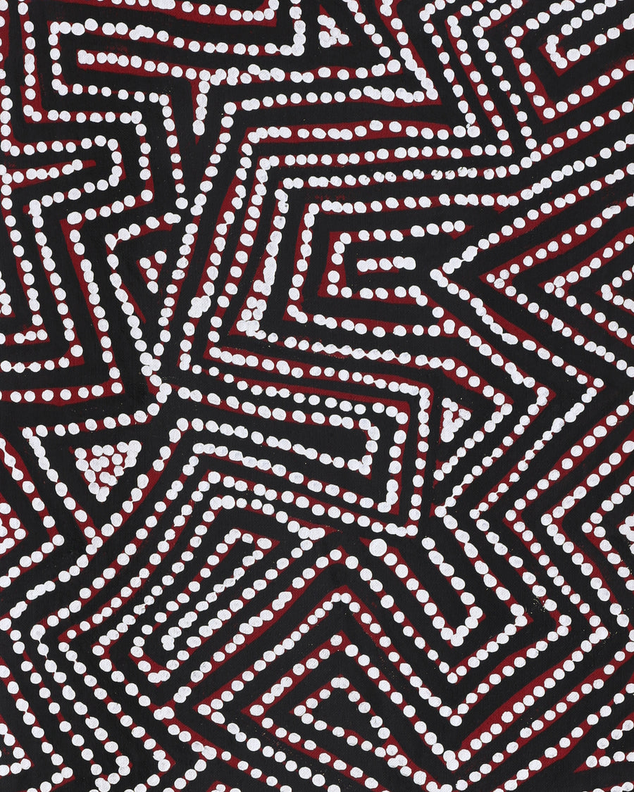 Reanne Nampijinpa Brown, Pamapardu Jukurrpa (Flying Ant Dreaming) - Warntungurru, 107x30cm