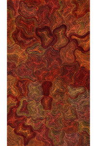 Aboriginal Artwork by Reanne Nampijinpa Brown, Ngapa Jukurrpa (Water Dreaming) - Mikanji, 107x61cm