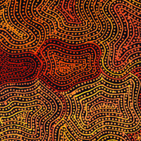 Aboriginal Artwork by Reanne Nampijinpa Brown, Ngapa Jukurrpa (Water Dreaming) - Mikanji, 107x61cm