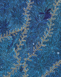 Aboriginal Artwork by Reanne Nampijinpa Brown, Pamapardu Jukurrpa (Flying Ant Dreaming) - Warntungurru, 152x61cm