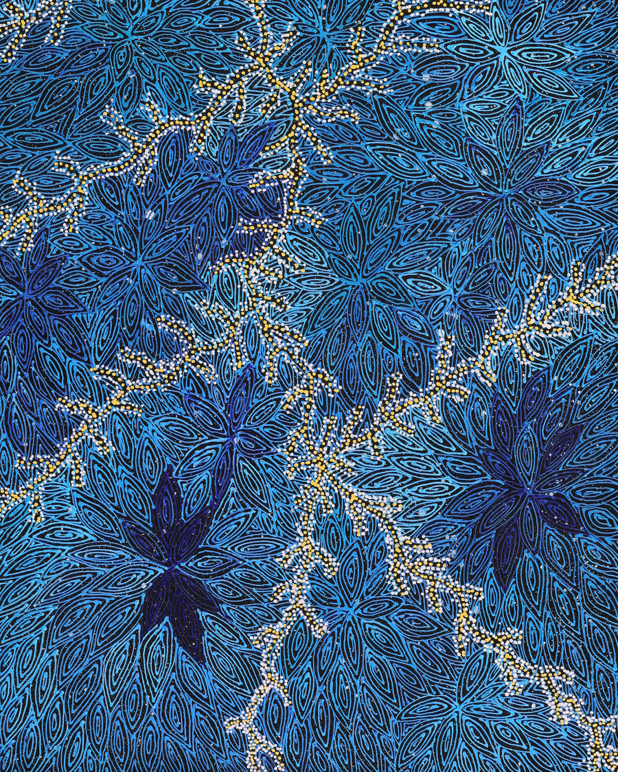 Aboriginal Artwork by Reanne Nampijinpa Brown, Pamapardu Jukurrpa (Flying Ant Dreaming) - Warntungurru, 152x61cm