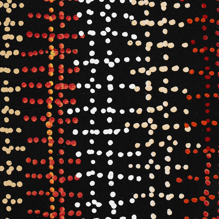 Aboriginal Artwork by Reanne Nampijinpa Brown, Pamapardu Jukurrpa (Flying Ant Dreaming) - Warntungurru, 152x30cm