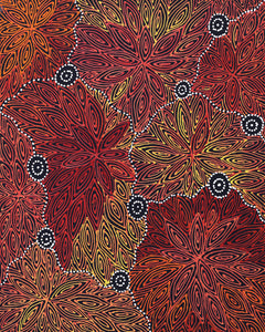 Aboriginal Artwork by Reanne Nampijinpa Brown, Ngapa Jukurrpa (Water Dreaming) - Mikanji, 50x40cm - ART ARK®